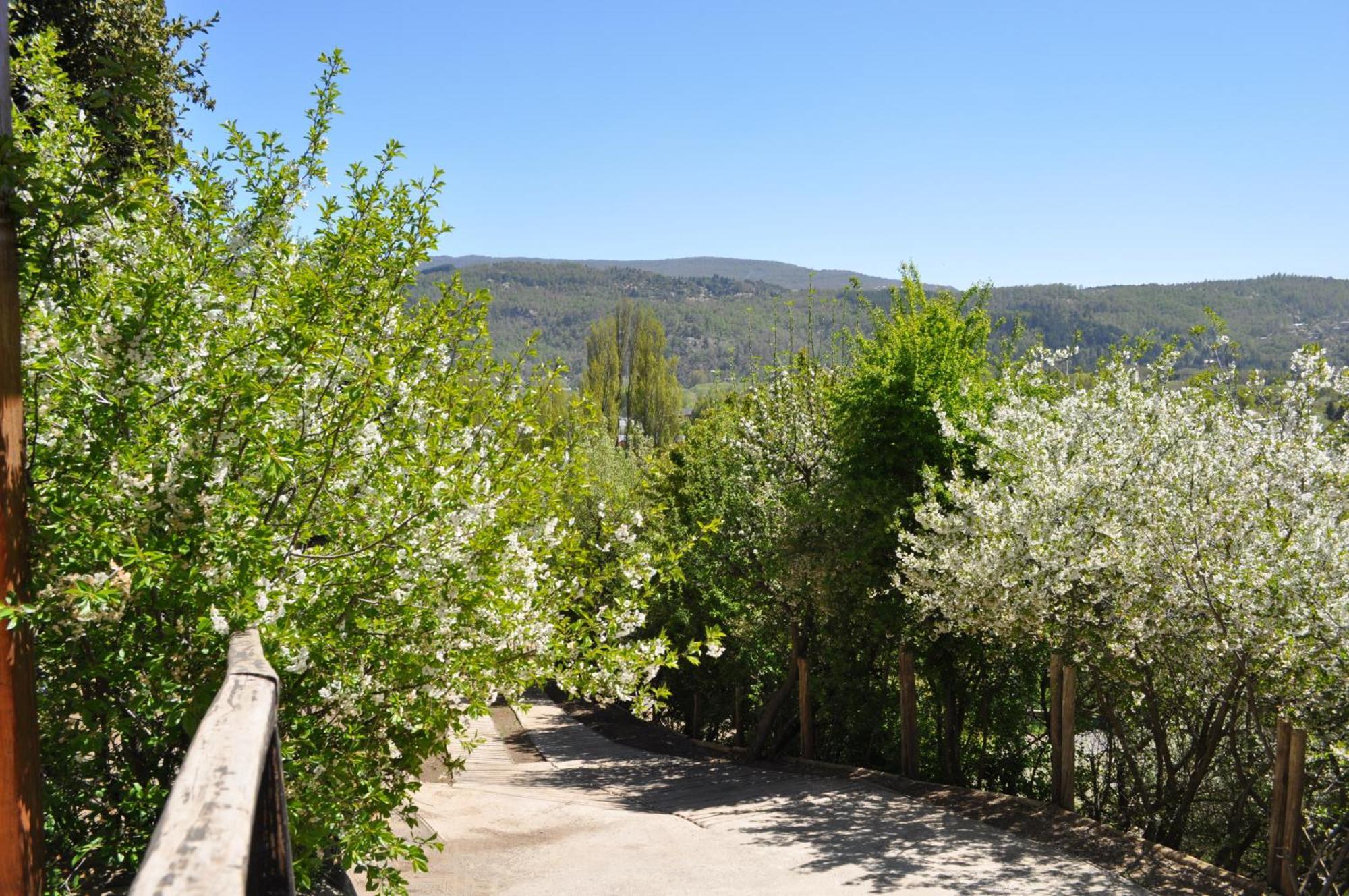 Melodia Natural En San Martín de los Andes מראה חיצוני תמונה