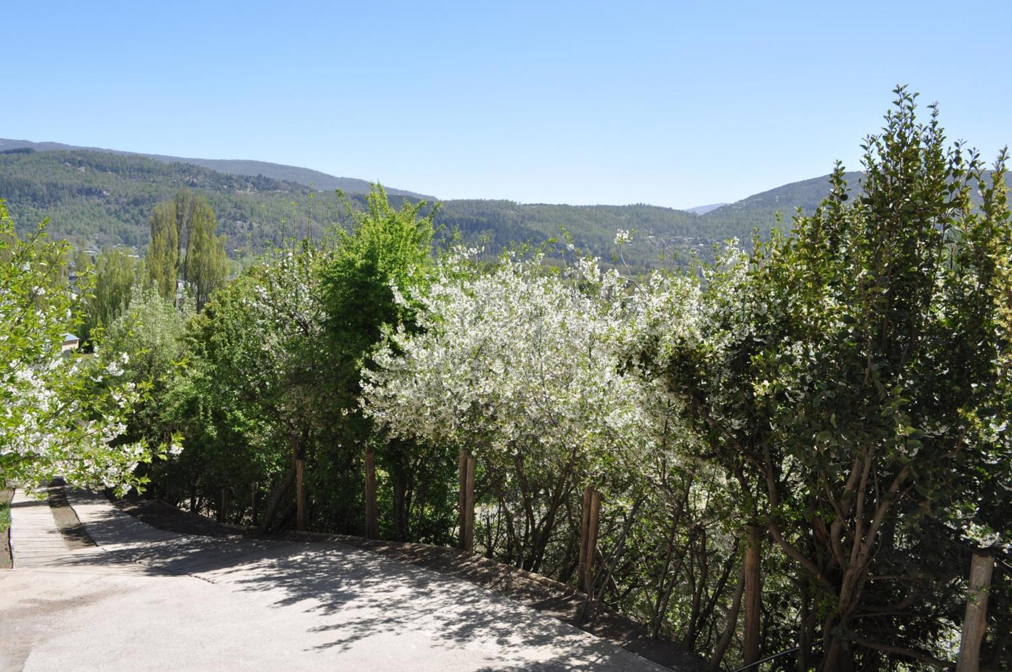 Melodia Natural En San Martín de los Andes מראה חיצוני תמונה